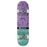 Skate Completo Blueprint Sky Brown Bird Purple Teal 8.0"