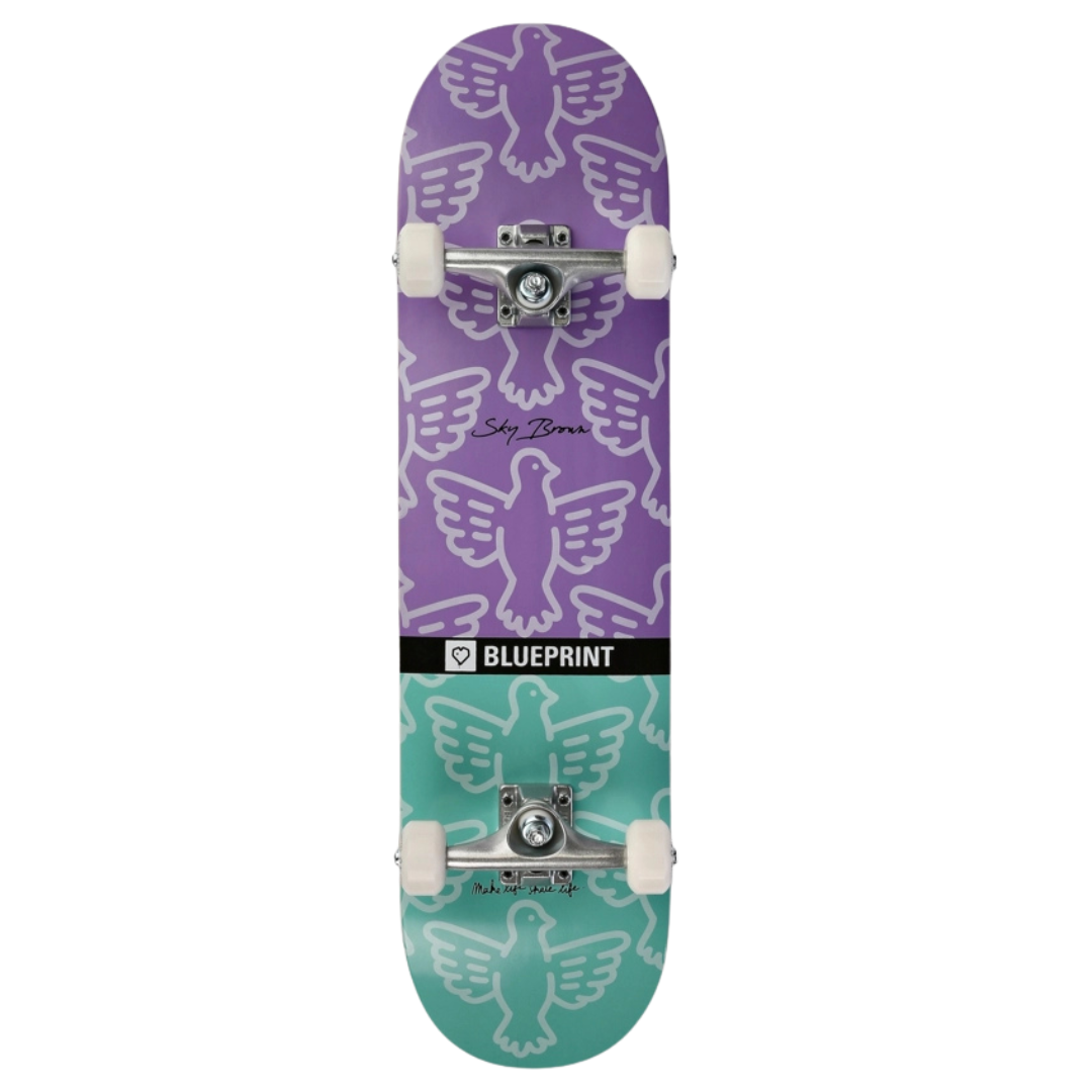 Skate Completo Blueprint Sky Brown Bird Purple Teal 8.0"