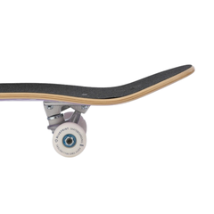 Skate Completo Blueprint Sky Brown Bird Purple Teal 8.0"