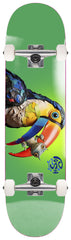 Skate Completo Push Skateboarding Toucan Fade FP 8.25"