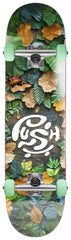 Skate Completo Push Skateboarding Forest Green FP 7.75"