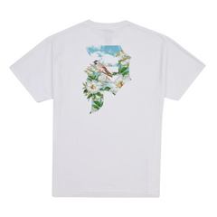 Polera Primitive Solstice White