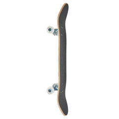 Skate Completo Blueprint Sky Brown Bird Blue 7.75"