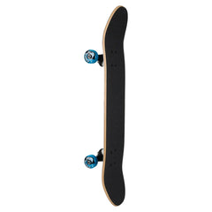 Skate Completo Blind Classic Ransom Multi 7.75"