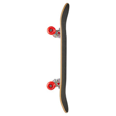 Skate Completo World Industries Detention Multi 8"